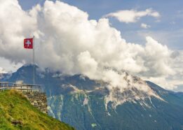 Portal aukcyjny: Szwajcaria